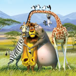 Die Tiere aus 'Madagascar 2'